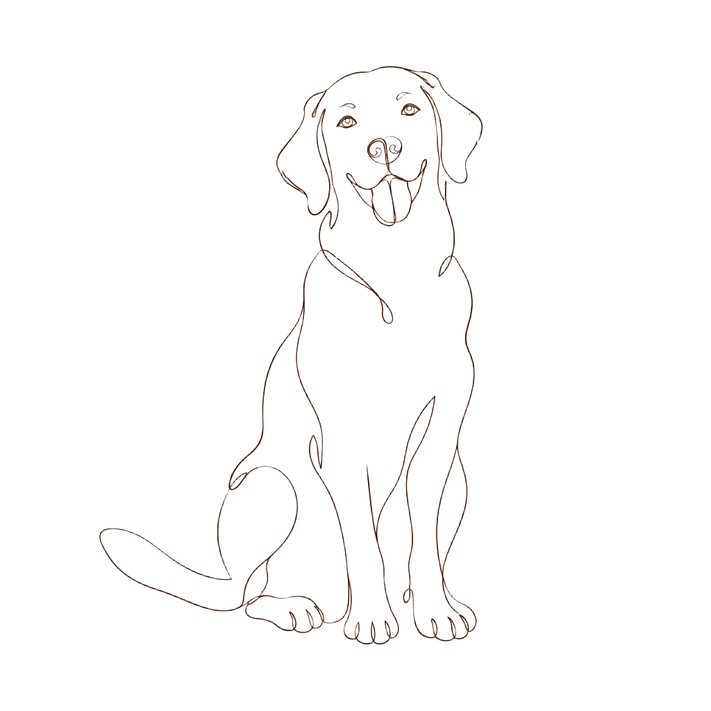 Fine line illustration of a sitting dog