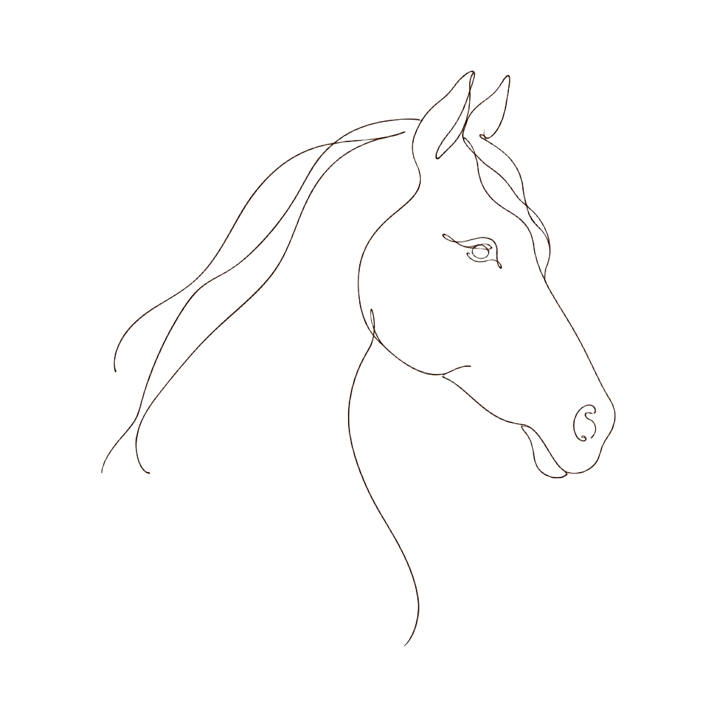 Fine line illustration of a horse's head